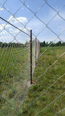 Заборы из сетки-рабицы
